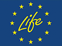 logo-life-lg
